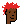 Punk 0495